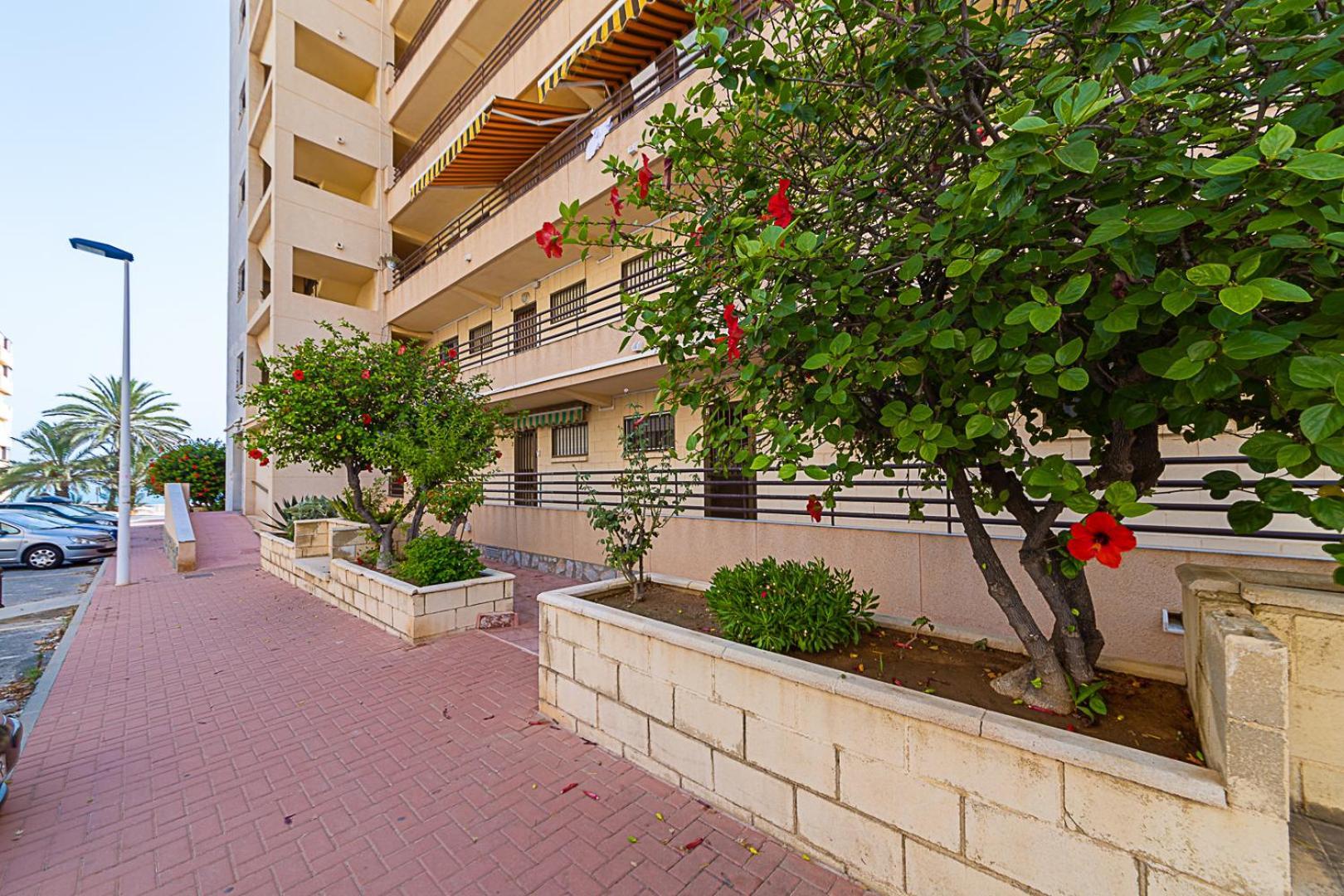 Miramar Magic Sea & Sunrise View Apartamento Torrevieja Exterior foto